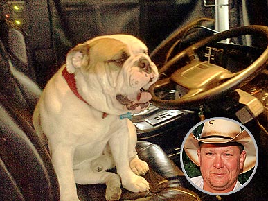 Country Singer Tracy Lawrence Reunited with Lost Dog
