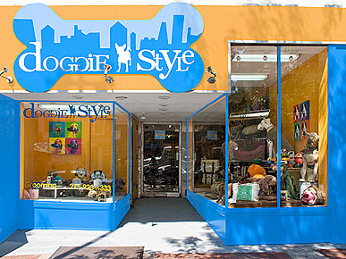 Treats to Try: Doggie Style's Philly Day Camp, Plus Beach Tips!
