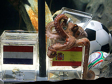 The Water Bowl: Paul the Octopus to Retire! Plus, Airport Bathrooms for Pets