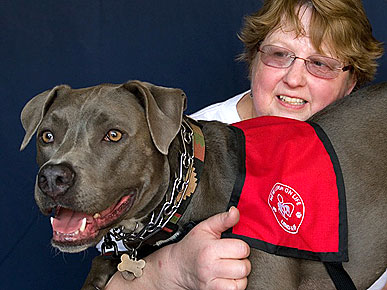 Rescued Pit Bull Defies Deformity Through Therapy Work