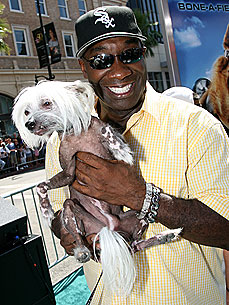 Are Michael Clarke Duncan's Cats Plotting Against Him?