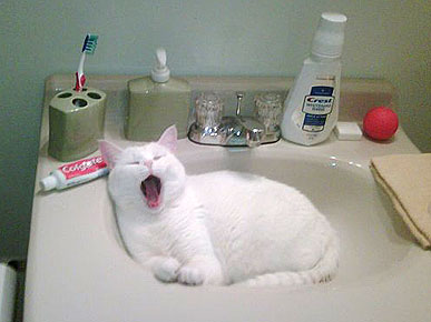 Congrats, Amy! You Win This Week's Caption Contest