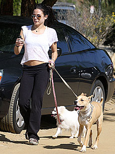 Jenna Dewan: My 'Ferocious' Pit Bull Can't Live Without Her Blankie