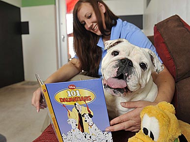 New Resort Is a Disney World for Pets