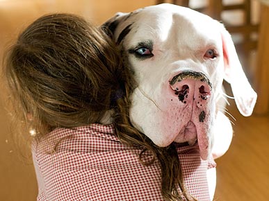 5 Ways to Ease Your Pet's Back-to-School Anxiety