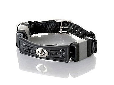 Supercollar is the Best of Both Worlds: A Leash and Collar in One