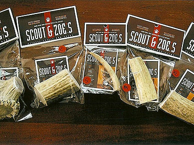 REVIEW: Chew on This – Scout & Zoe's Antlers Are Healthy, Long-lasting Treats