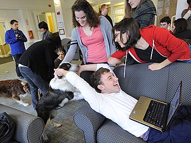 Therapy Dogs Give Stressed Tufts University Students a Study Break