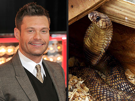 Office Pranks: Ryan Seacrest, Bronx Zoo Cobra Team Up for April Fools' Day