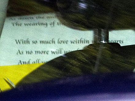 Royal Wedding: Kate Middleton, Prince William's Wedding Vows