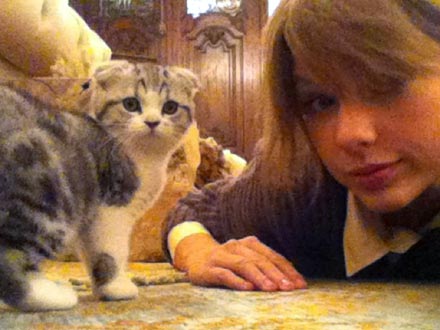 Taylor Swift Gets New Cat