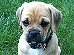 November's Cutest of the Cute!