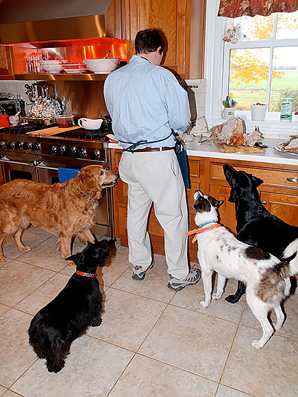 Pet vs. Turkey: 22 Hungry Stare-Downs