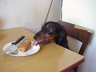 Caption Contest: What Are This Dog and His Tongue Up To?