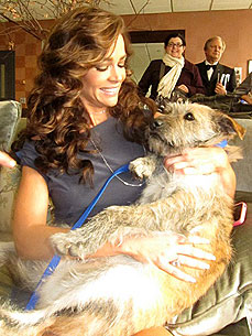 Denise Richards Adopts a New Dog – While Co-Hosting 'The View'