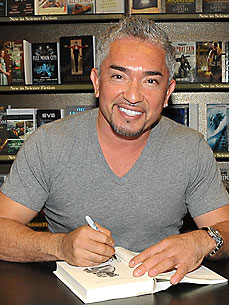Video: Cesar Millan Answers Your Questions!