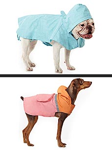 Keep Your Dogs Dry with Cute Rain Gear by Martha Stewart Pets