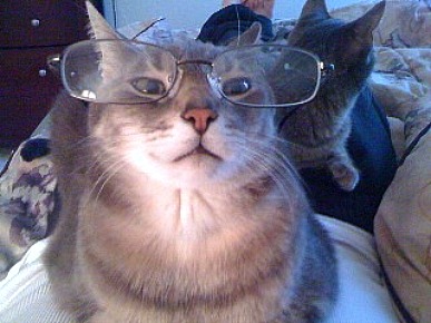 Congrats, Vanessa! You Won This Week's Caption Contest