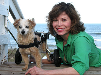 Trust Funds for Pets? Animal Lovers Say Yes