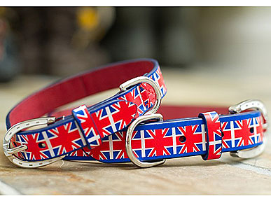 Say Woof to Will & Kate With Mascot's Union Jack Collar