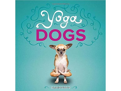 'Yoga Dogs' Book Puts Pooches In Impossible Poses