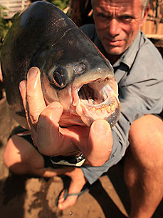 'River Monsters' Returns with Weirder, Deadlier Fish