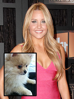 Amanda Bynes: 'Replacement Pup' Tiara Is Awesome