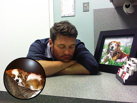 Ryan Seacrest and Julianne Hough Make Emergency Trip to the Vet