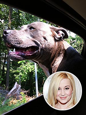 Kellie Pickler Rescues a Pit Bull