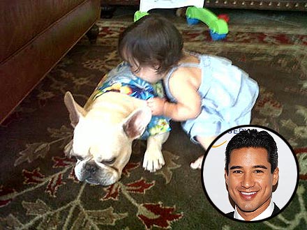 Cuddle Alert! Mario Lopez's Daughter Kisses Dog Julio