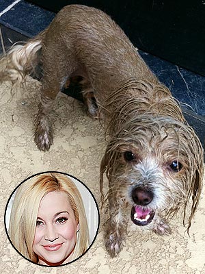 Kellie Pickler Tweets Photo of Dirty Dog Pixie