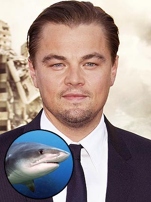 Leonardo DiCaprio, Blake Lively Support Sharks