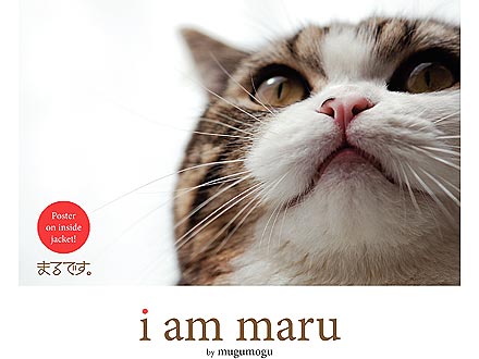 Maru Book, I Am Maru, Gets English Translation