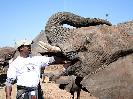 Blair Underwood Goes to Africa, Meets Elephants and Lion Cubs
