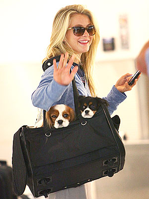 Julianne Hough's Dogs 'Know They're Famous'