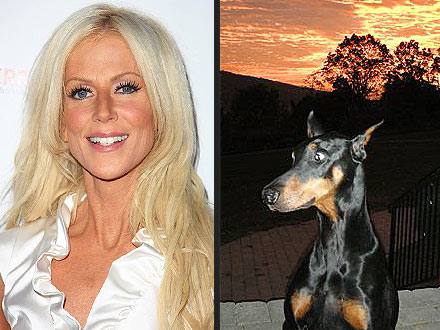 Michaele Salahi Dog Dies
