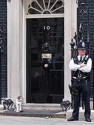 larry downing street