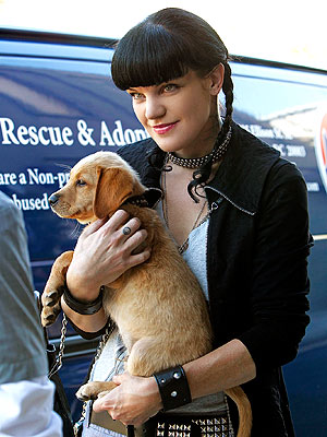 NCIS Pauley Perrette Knows Secret to Animal Longevity