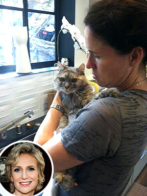 Jane Lynch's Cat Dies