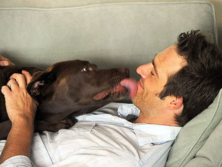 Michael Vartan Writes Letter to His Dog for Book, A Letter to My Dog