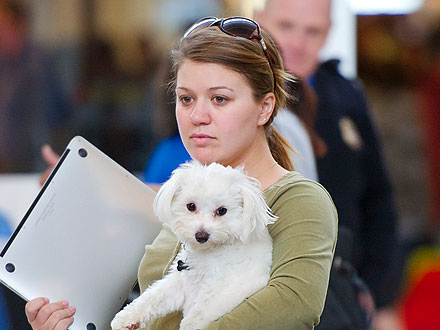 Kelly Clarkson Bonds with Her Dogs at Seattle Hotel