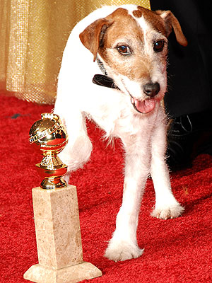 Pawscar Winners 2012: Uggie, War Horse
