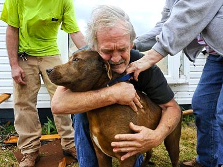 Dog Reunited with Owner After Alabama Tornado