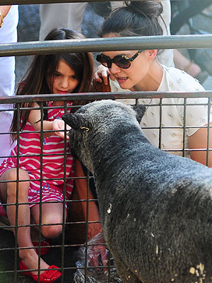 Suri Cruise Feeds Goats and Alpacas at Central Park Zoo: Photo