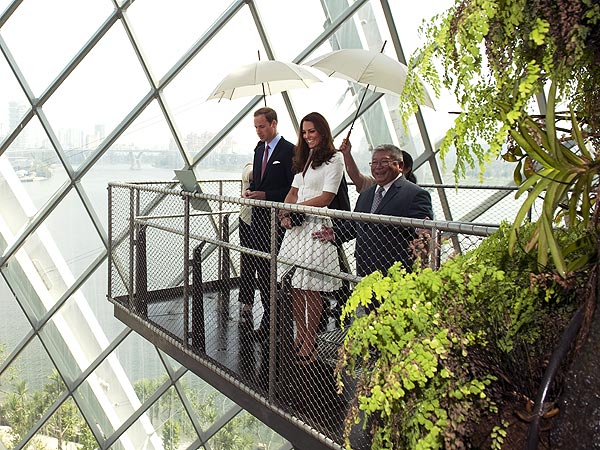 Prince William & Kate Hope to Have Two Children, He Says in Singapore