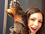Wild Things: Stars Meet Exotic Animals! | Katharine McPhee