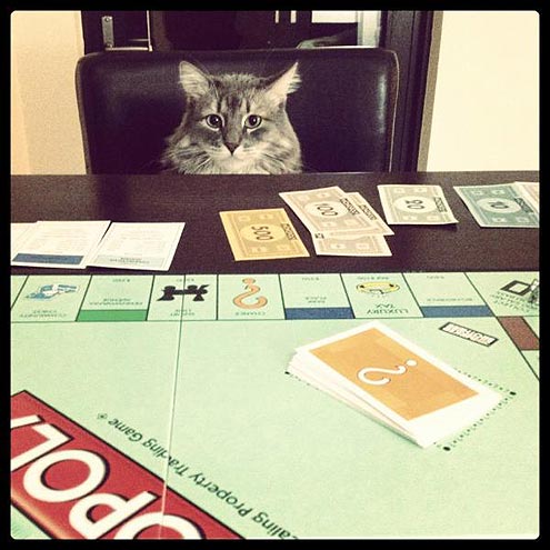 The Cutest Pets on Twitter This Week!