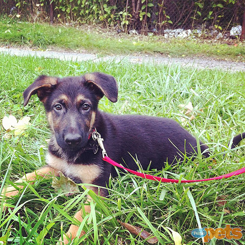 December's Cutest of the Cute!