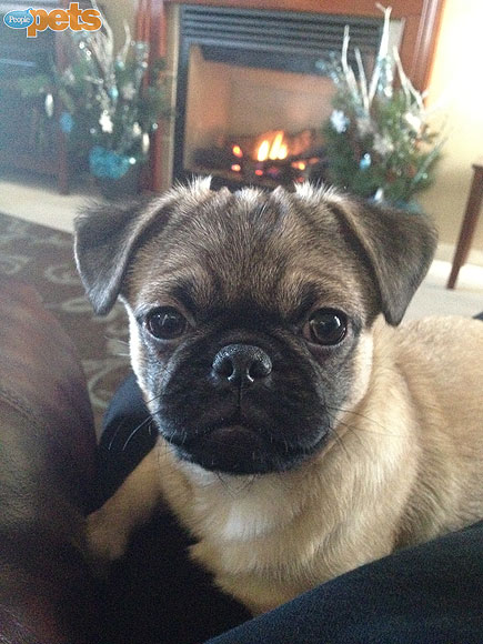 June's Cutest of the Cute!