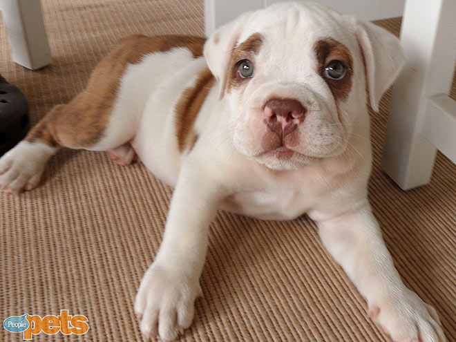 June's Cutest of the Cute!